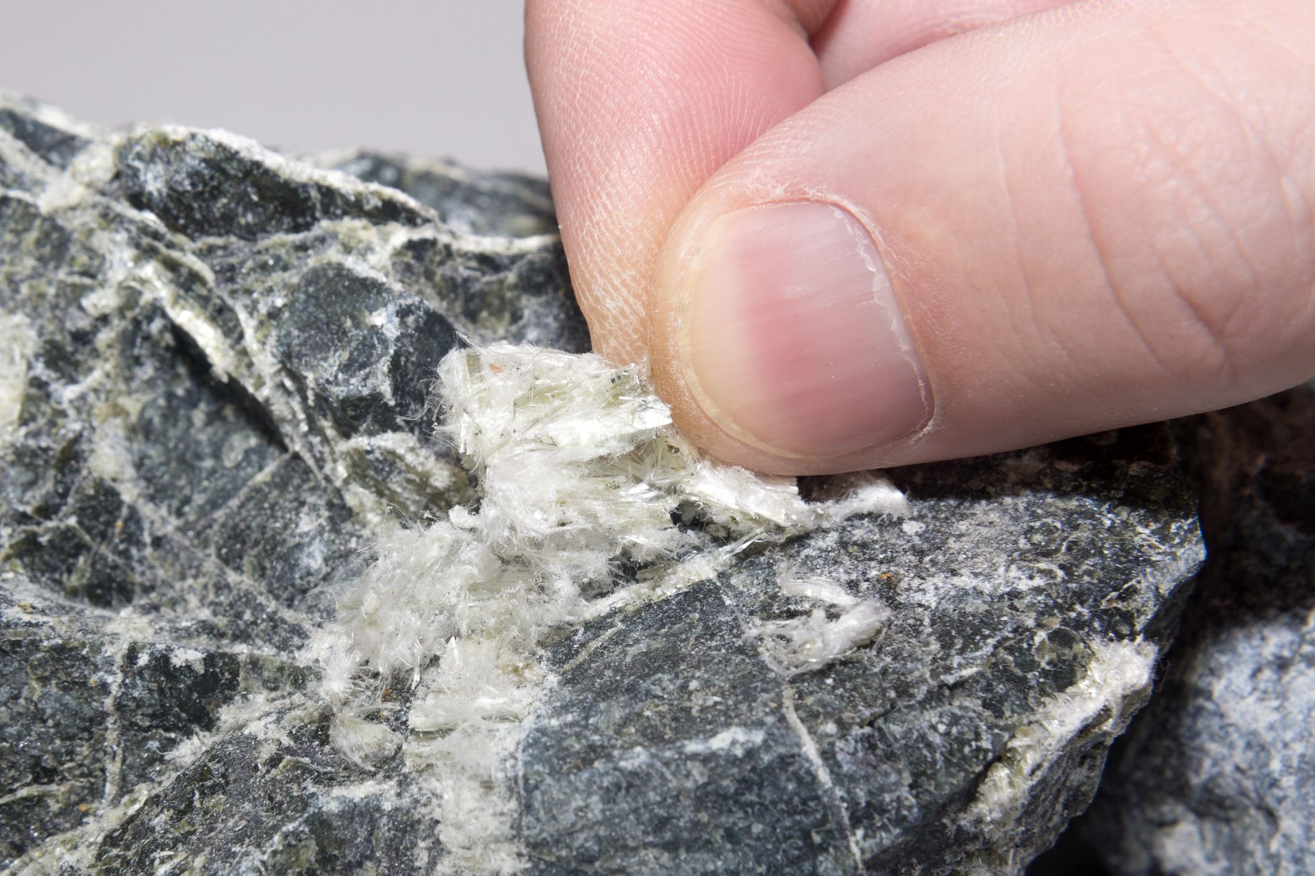 Southern Asbestos & Mold Removal