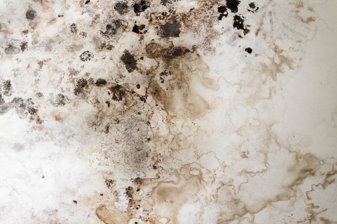 Mottled white and beige marble-like surface with brown and black stains and veining