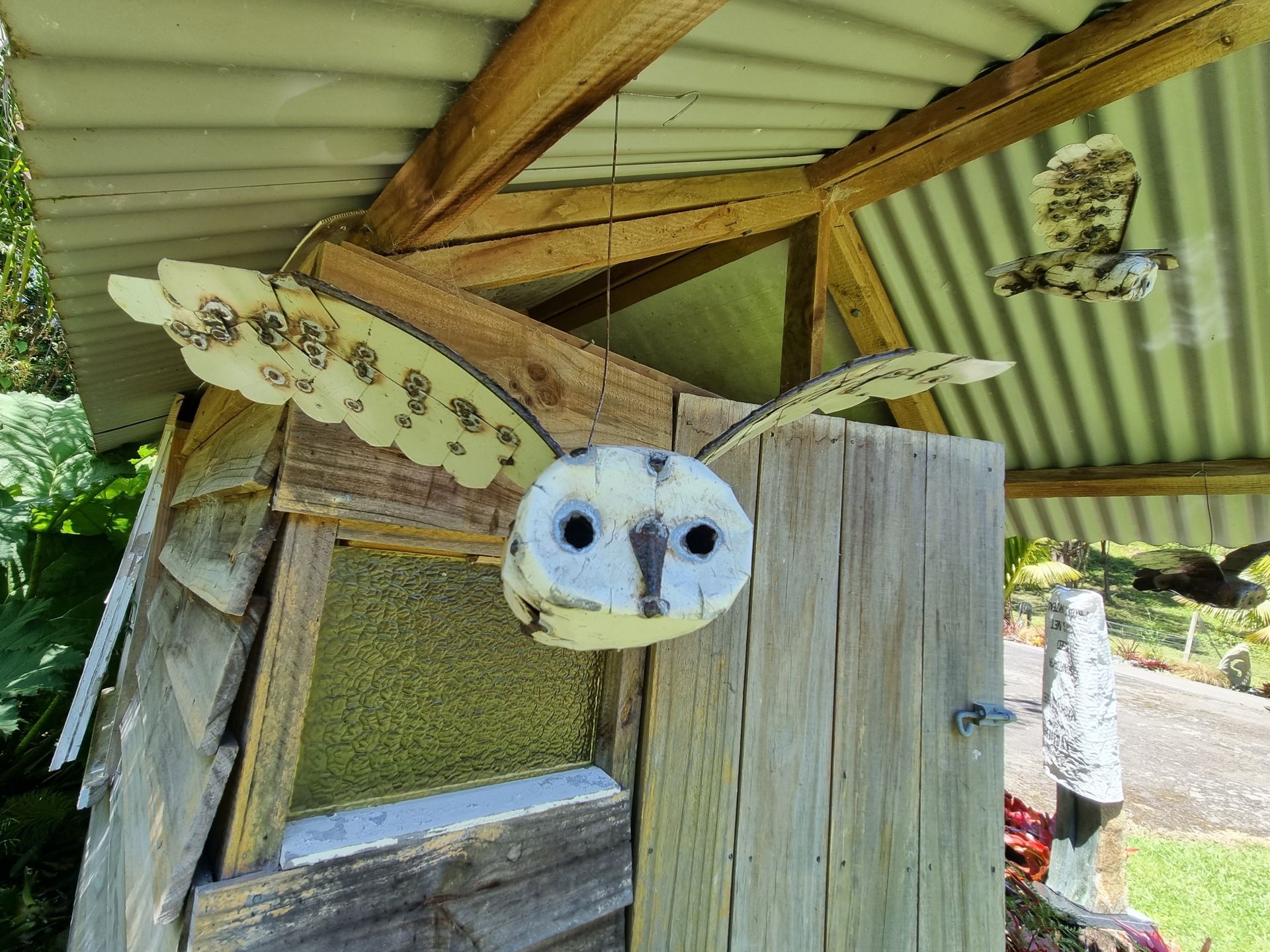 Flying Barn Owls