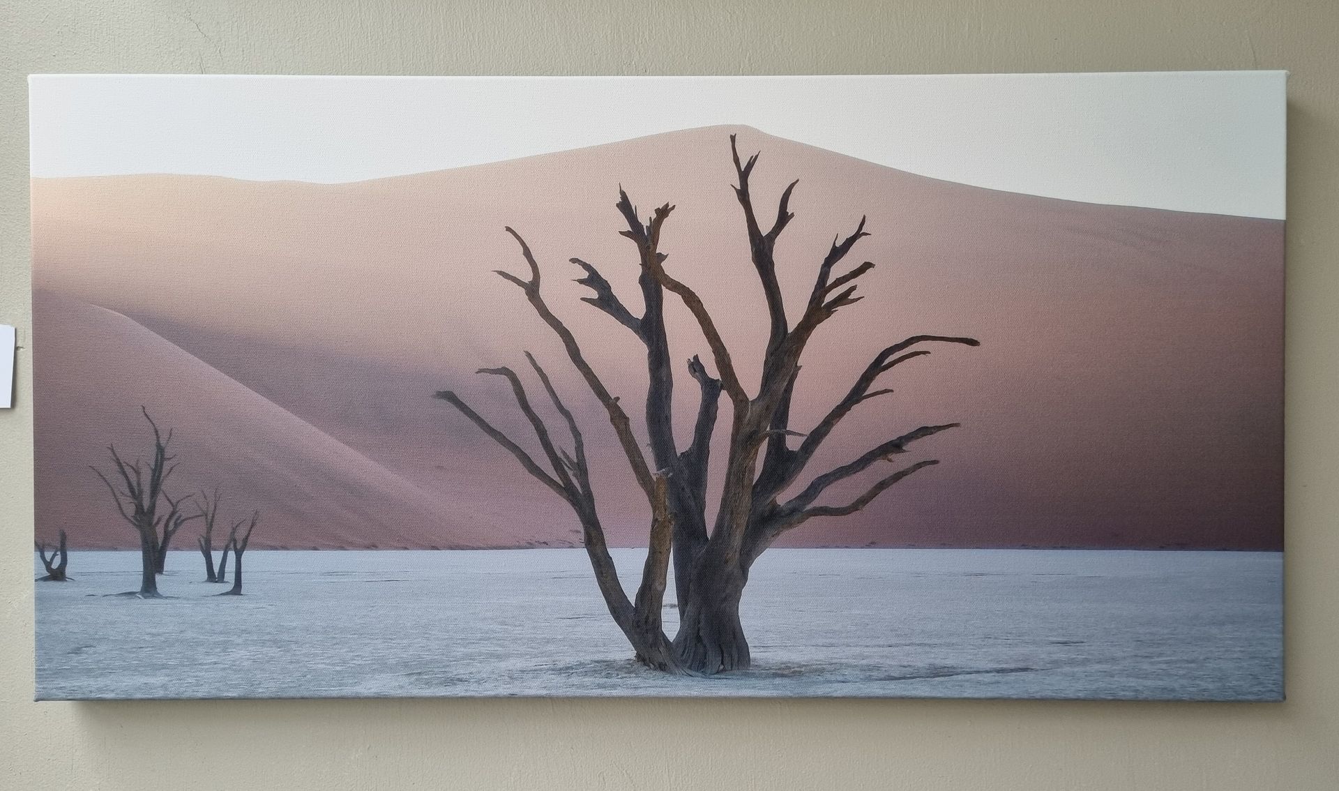 Desert Dawn
