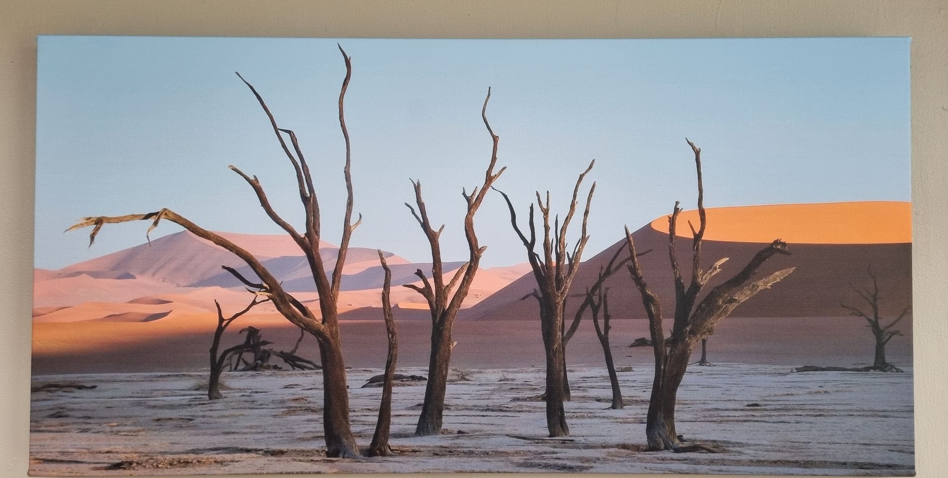 Desert Magic