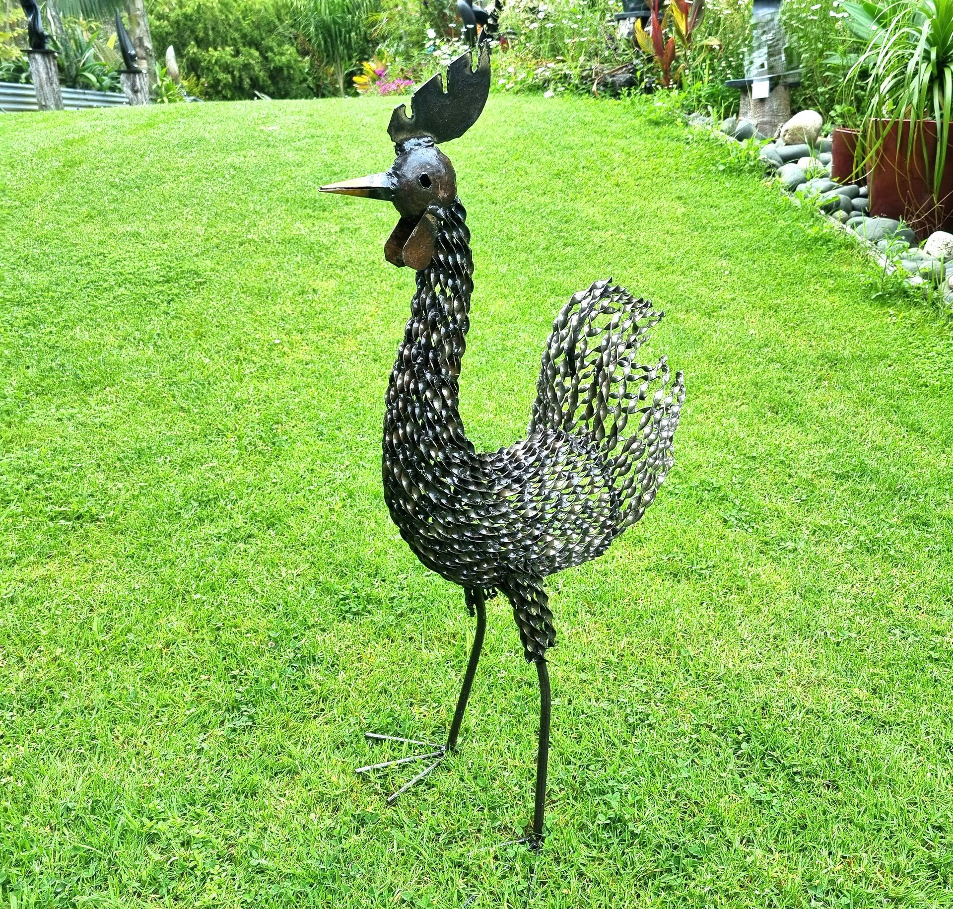 Twisted Rooster
