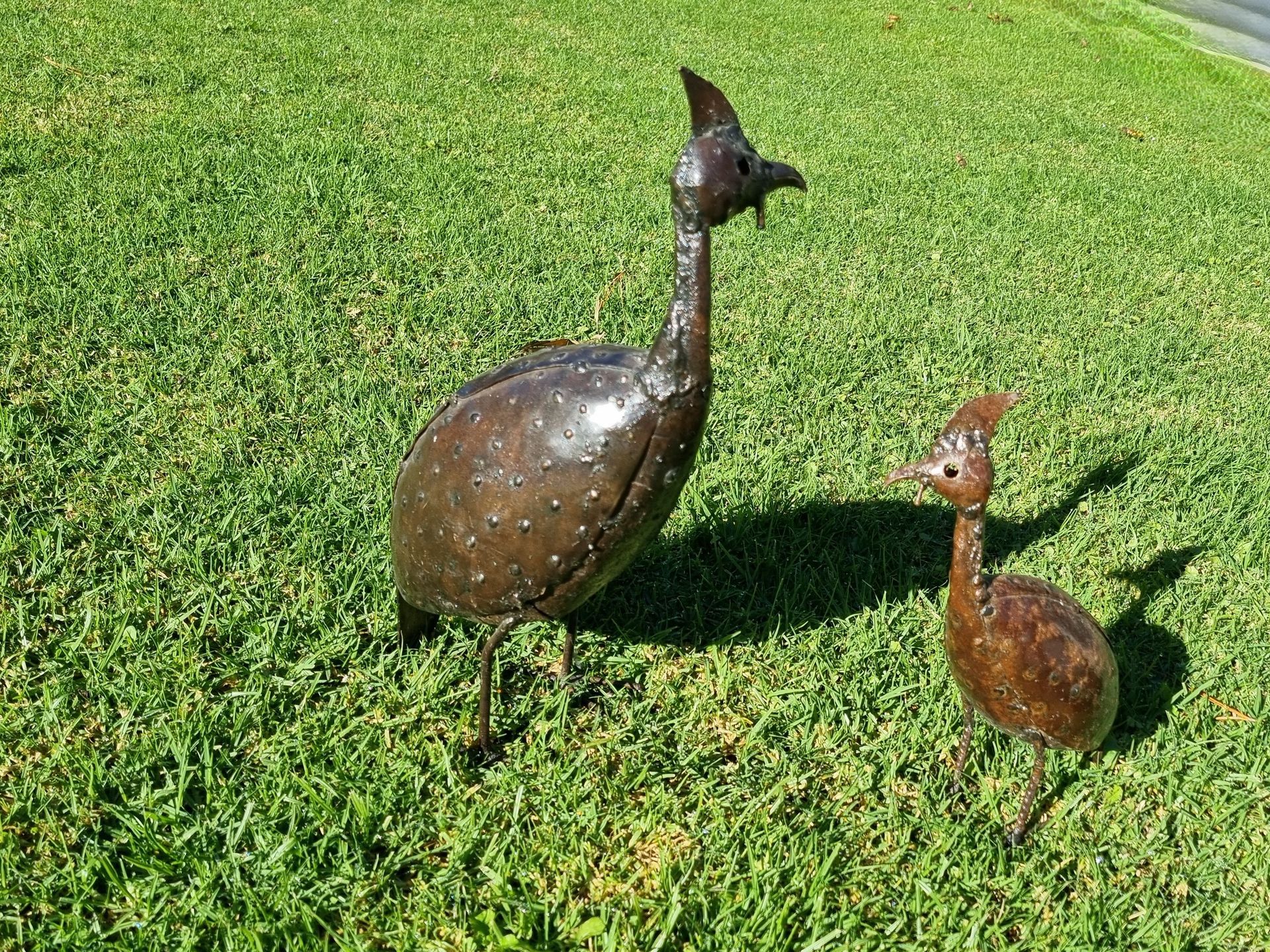 Guinea Fowl