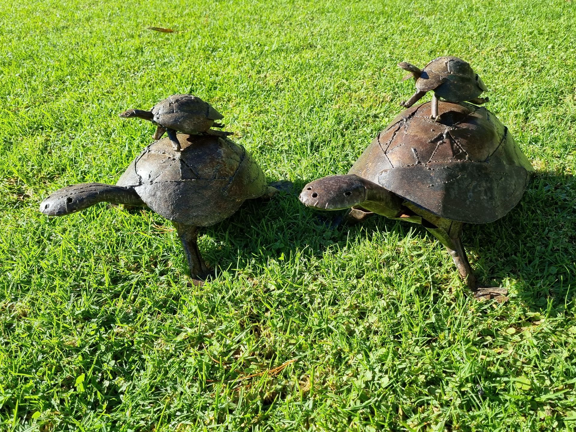 Turtle family-set of 4