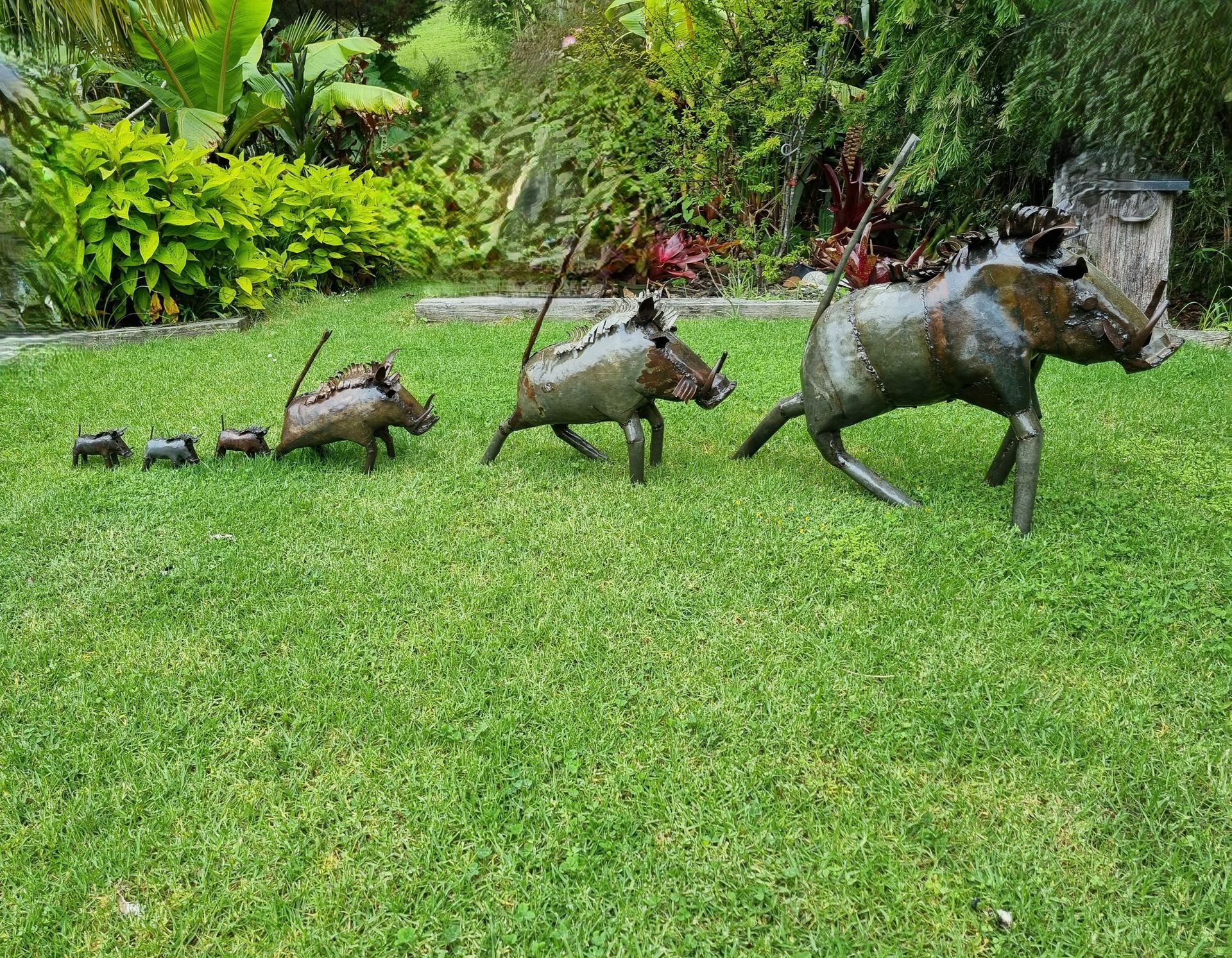 Warthogs two sizes
