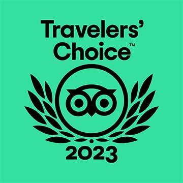 Travelers' Choice 2023 logo: black text and owl icon on a green background.