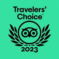 Travelers' Choice 2023 logo: black text and owl icon on a green background.
