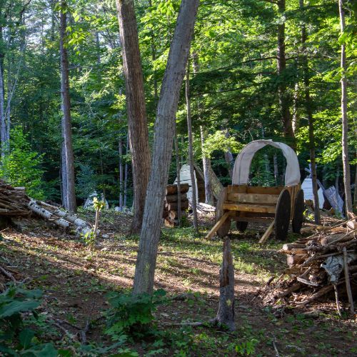 A wooded scene with a covered wagon, trees, and firewood, suggesting a rustic, outdoor setting.
