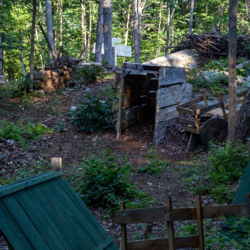 Woodland scene with wooden structures, cart, and lush greenery.