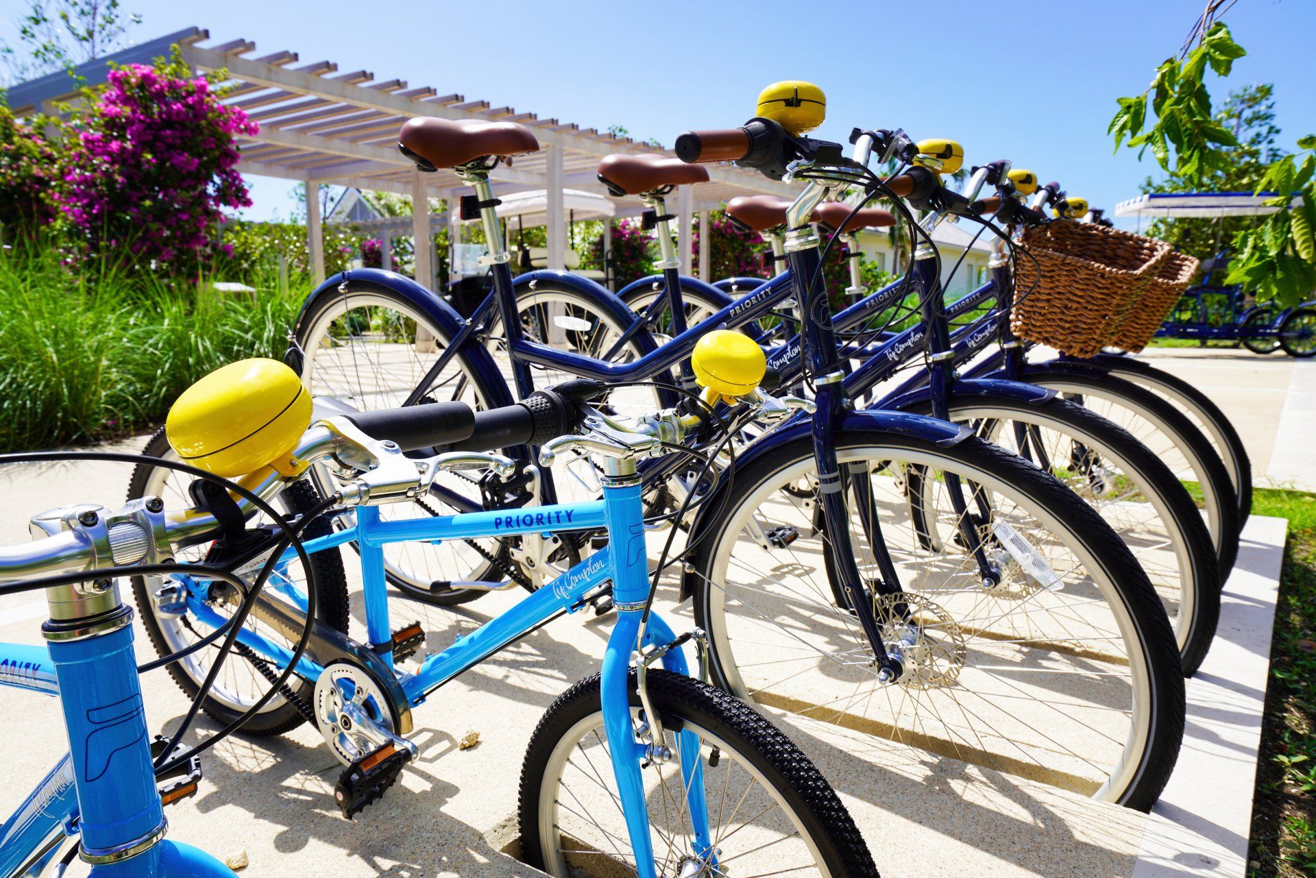 bikes