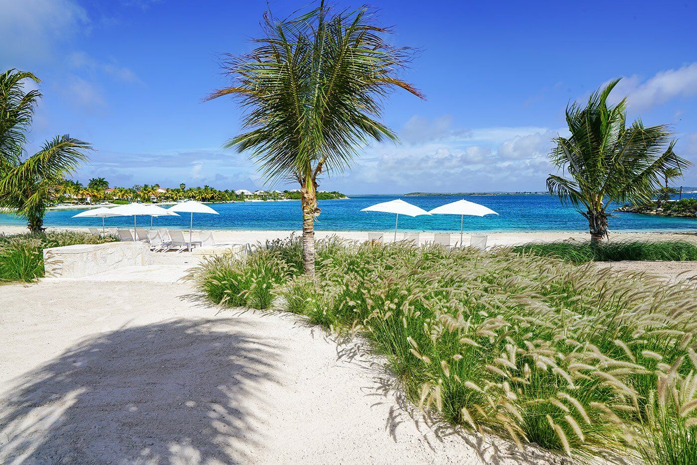 beach area
