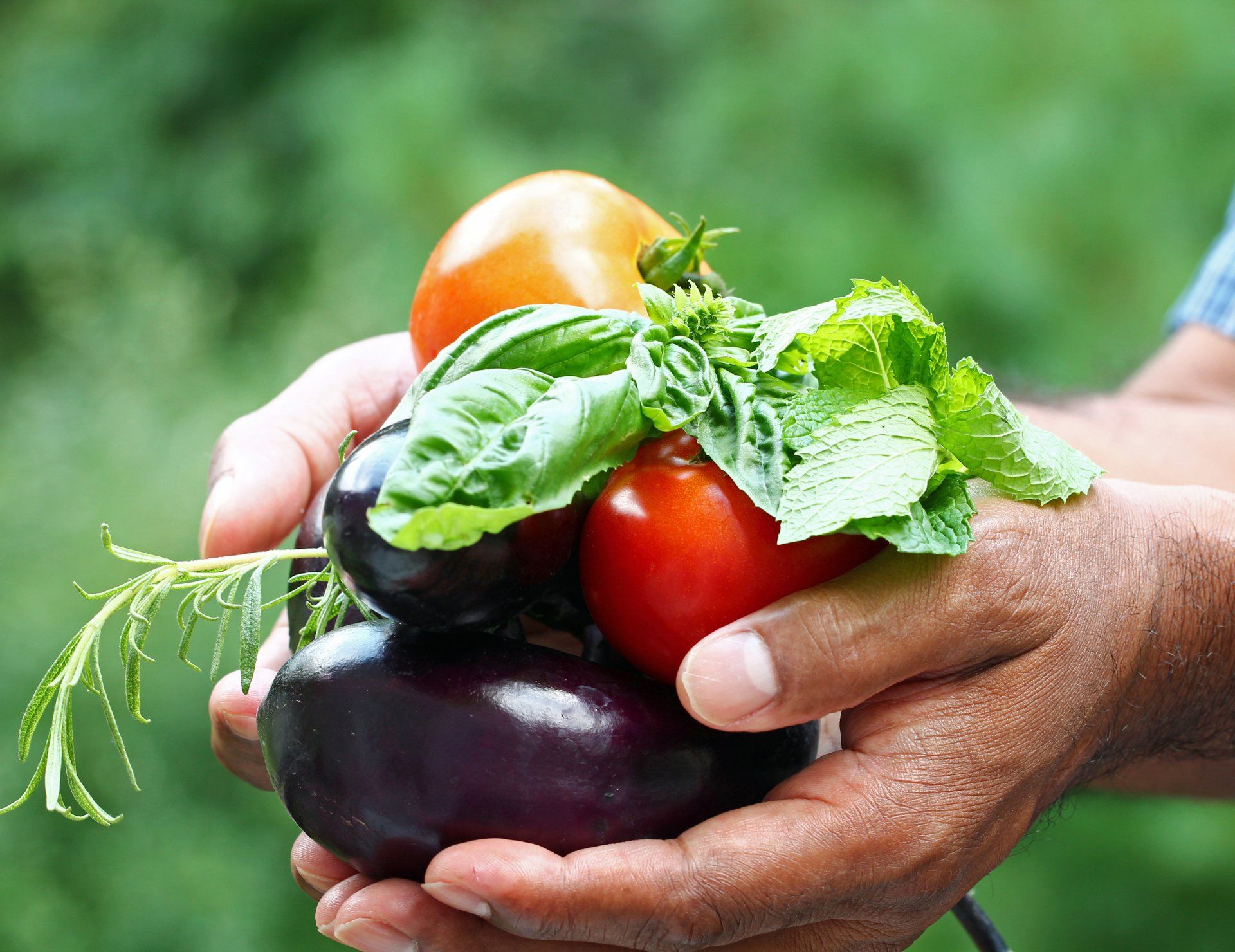vegetables