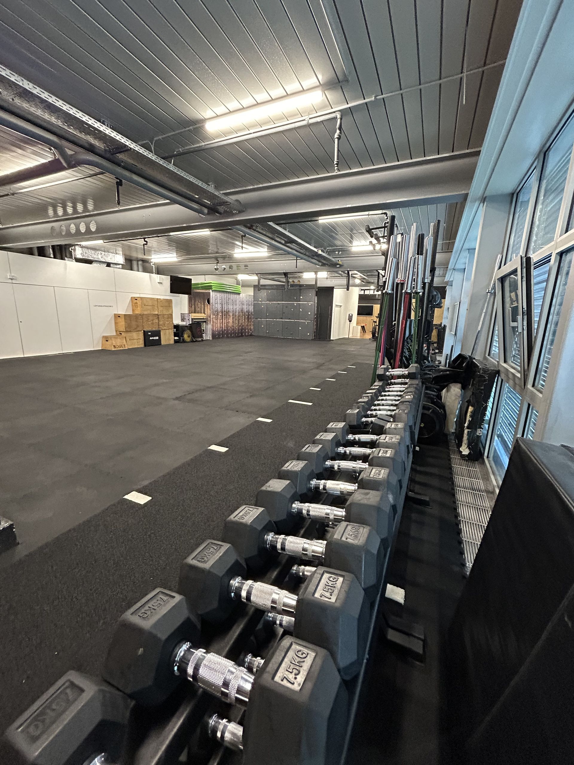 A row of black dumbbells on a rack in a CrossFit gym in Thalwil with an open training area in the background.