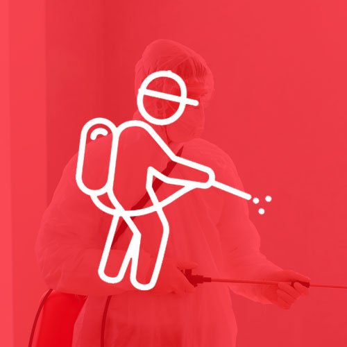 Pest Control Nashville, TN StateLine Exterminating