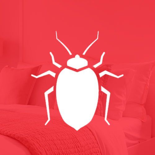 Bed — Nashville, TN — State-Line Exterminating