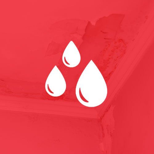 Moisture on the ceiling — Nashville, TN — State-Line Exterminating