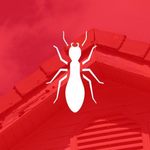 Termite damage — Nashville, TN — State-Line Exterminating