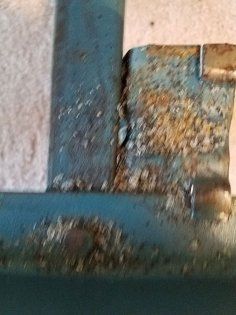 Bed bugs on the frame — Nashville, TN — State-Line Exterminating Bed bugs on the frame — Nashville, TN — State-Line Exterminating