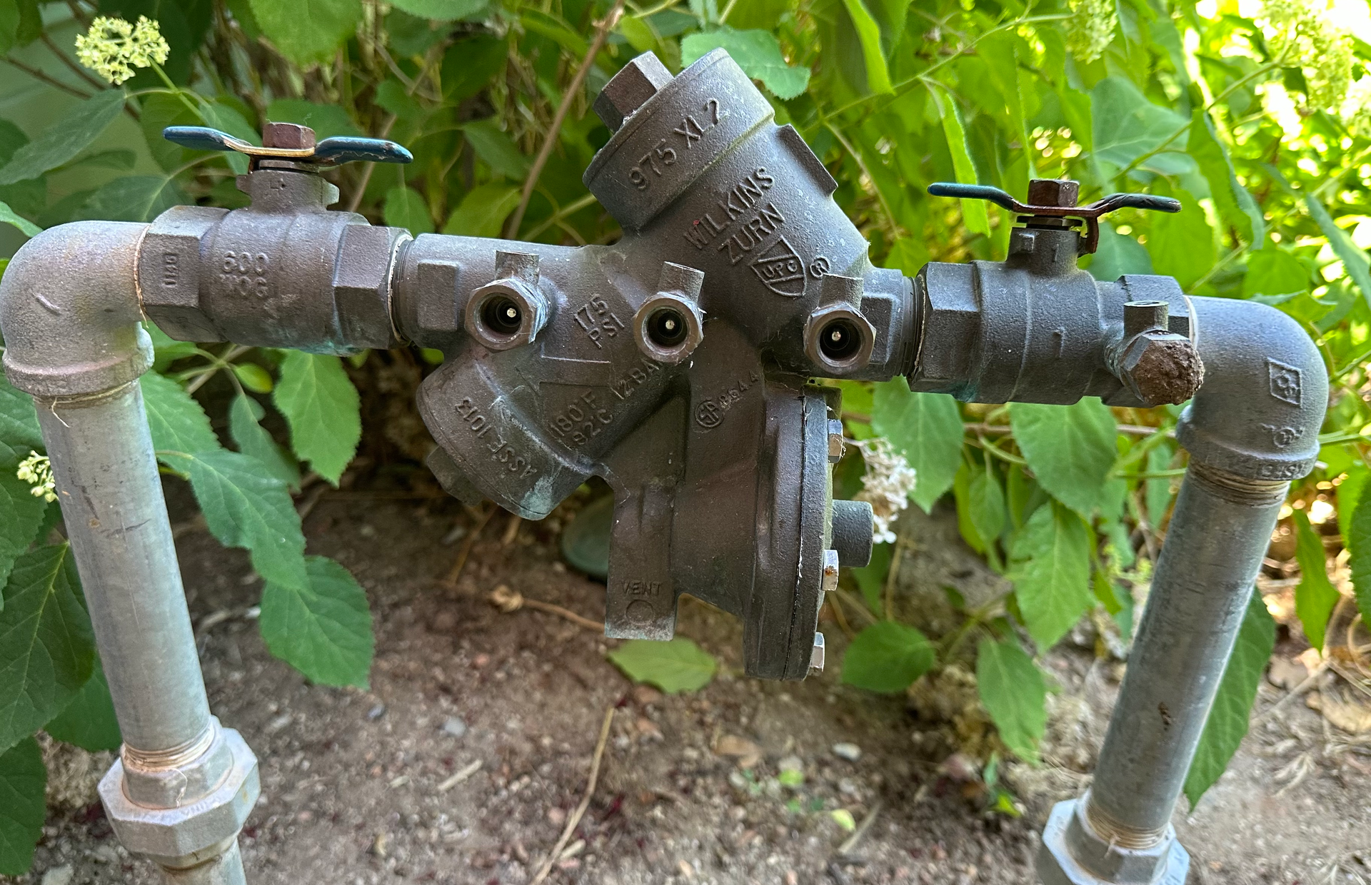 an irrigation backflow preventer 