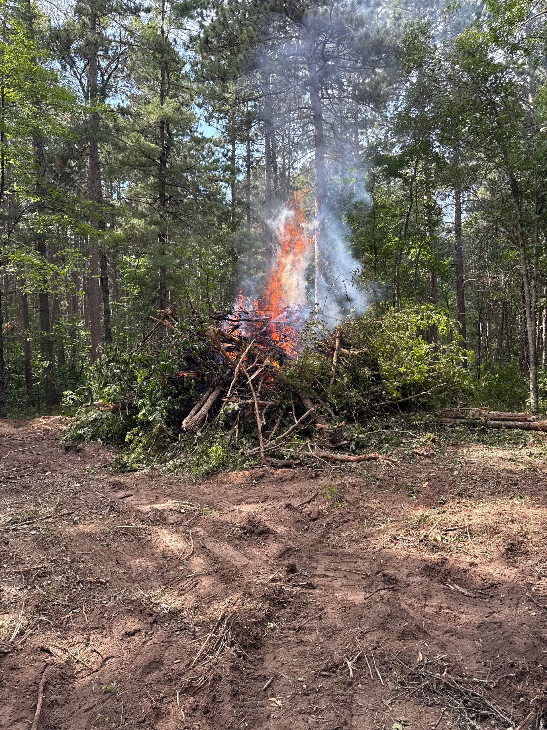 A pile of brush burning in a forest clearing, with visible flames and rising smoke.