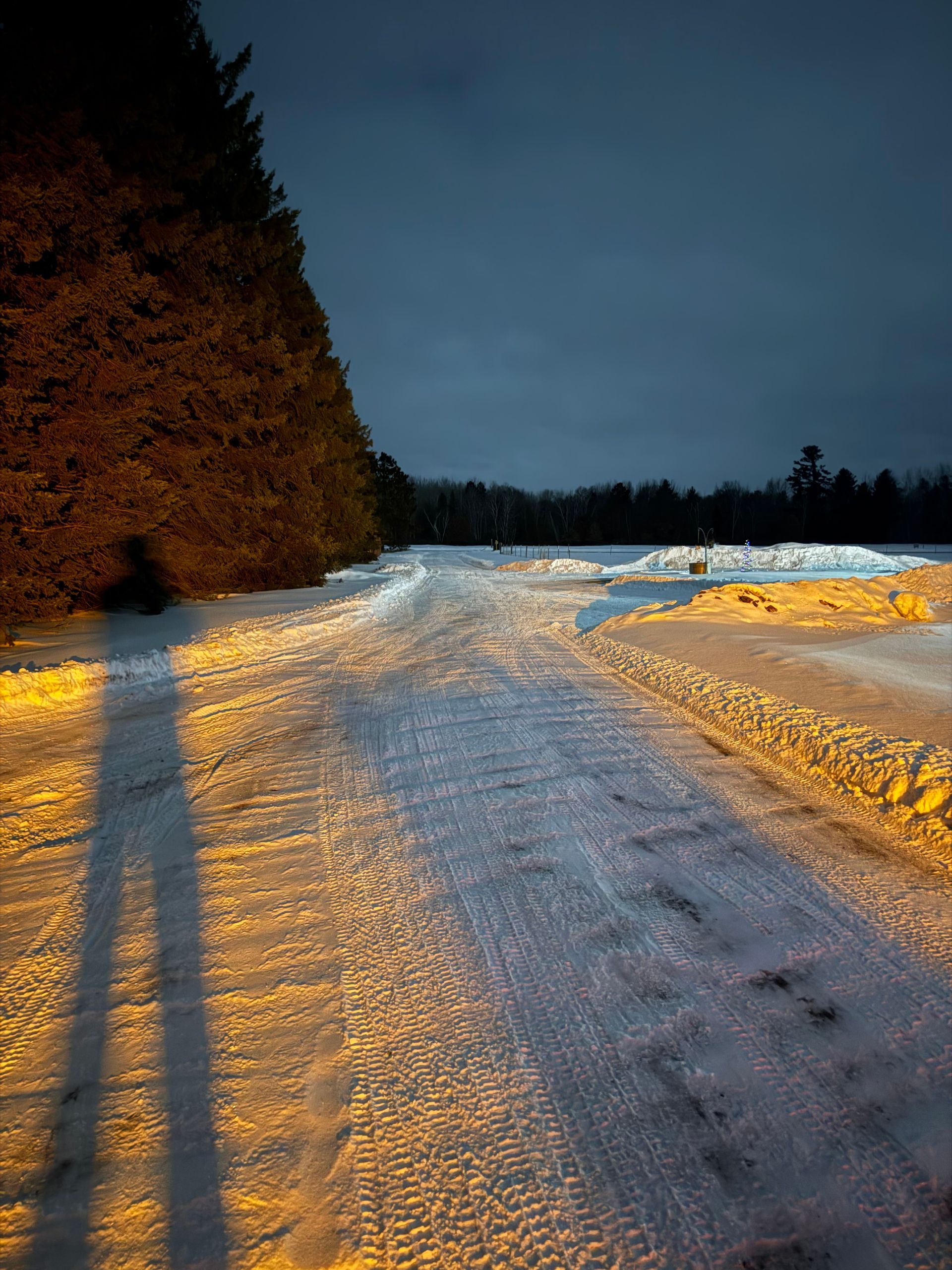 A snowy path at twilight with a long shadow cast by a person and trees illuminated by golden light on one side.
