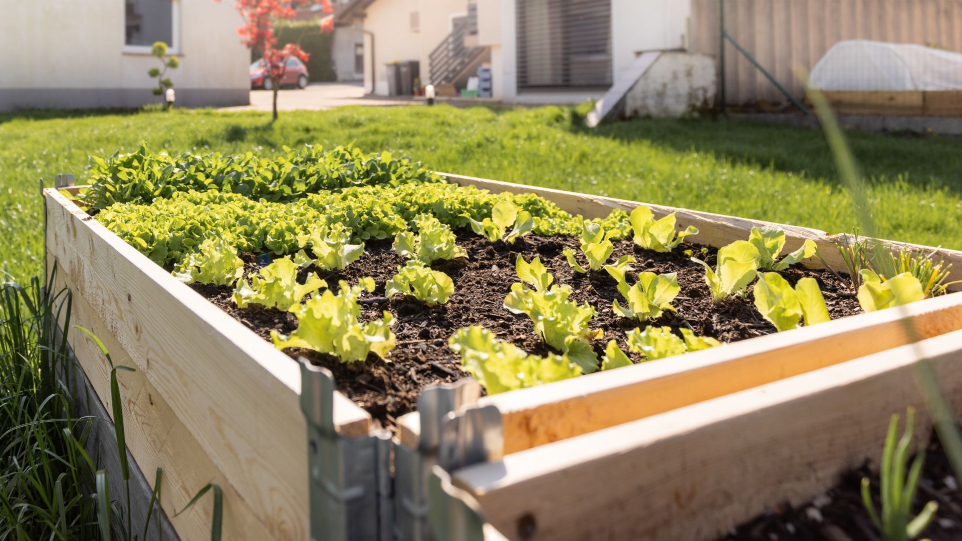 Elevated Raised Garden Bed Dartmouth