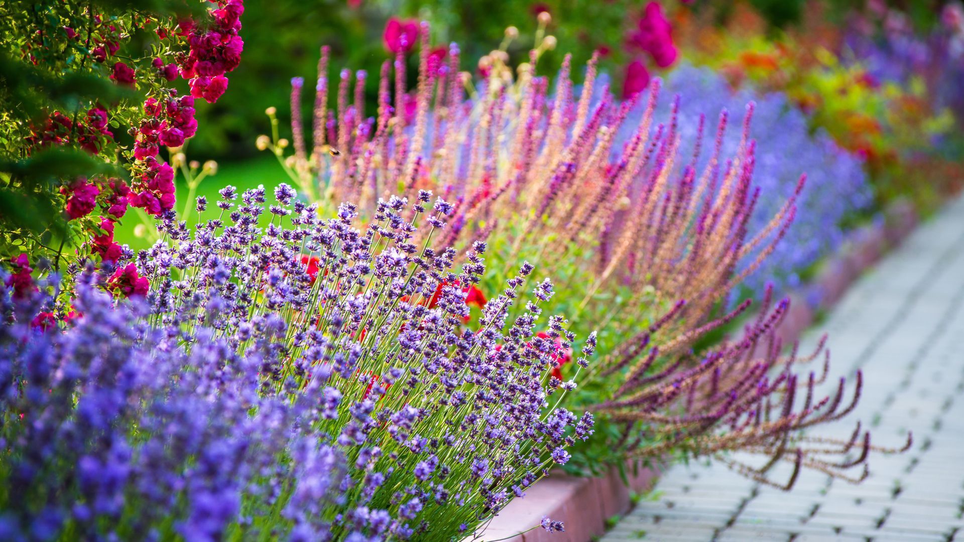 Landscaping Dartmouth