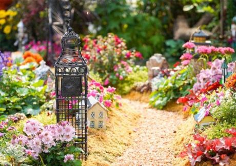 garden landscaping dartmouth NS