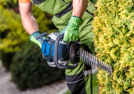 garden maintenance dartmouth NS