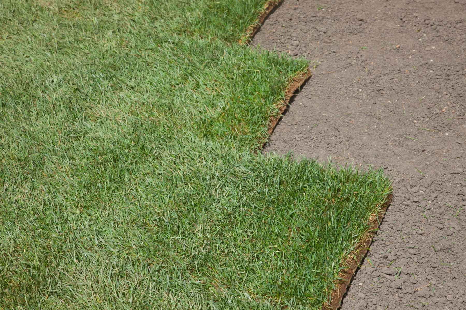 grass installation