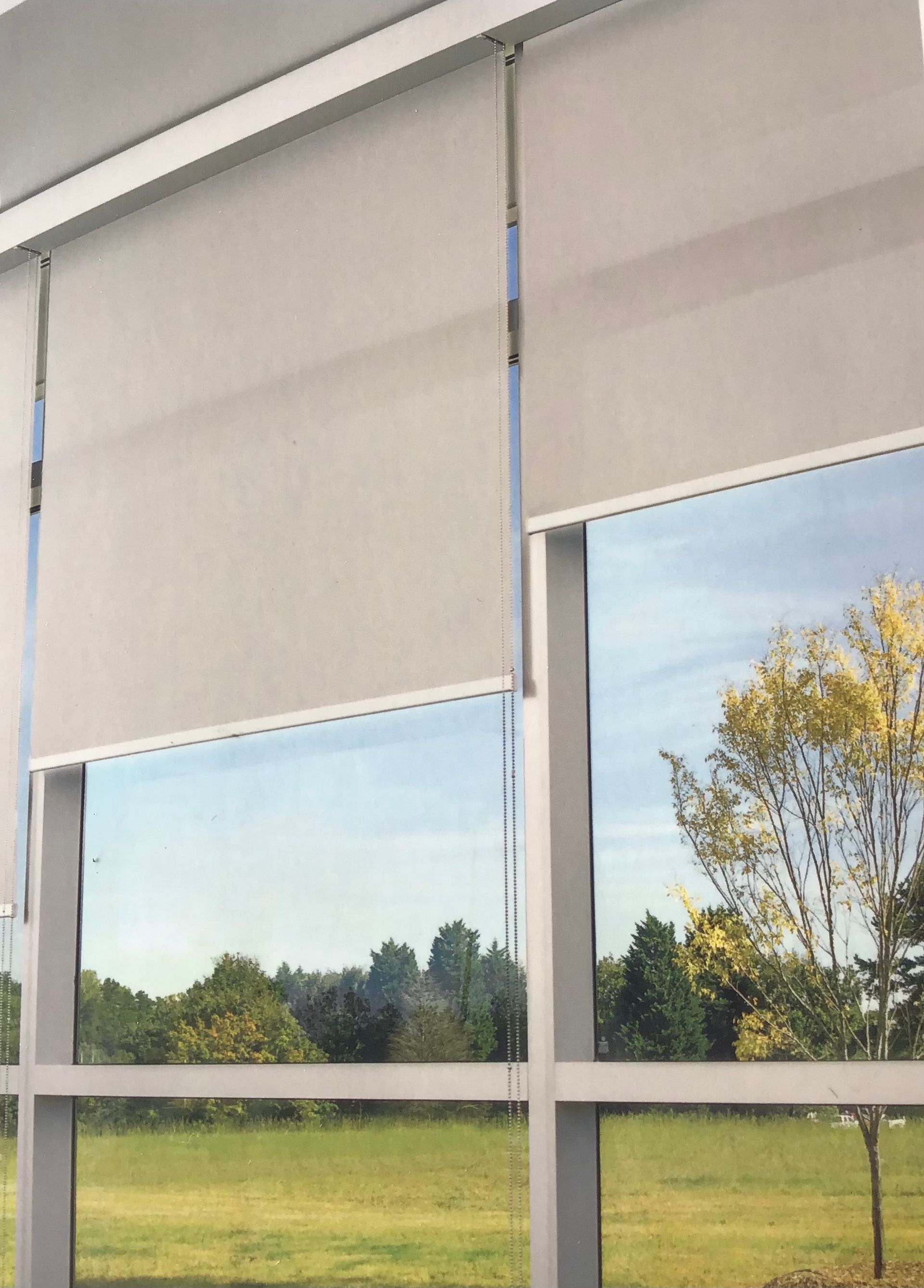 Beige roller shades are partially drawn over a large window looking out onto a grassy landscape with trees.