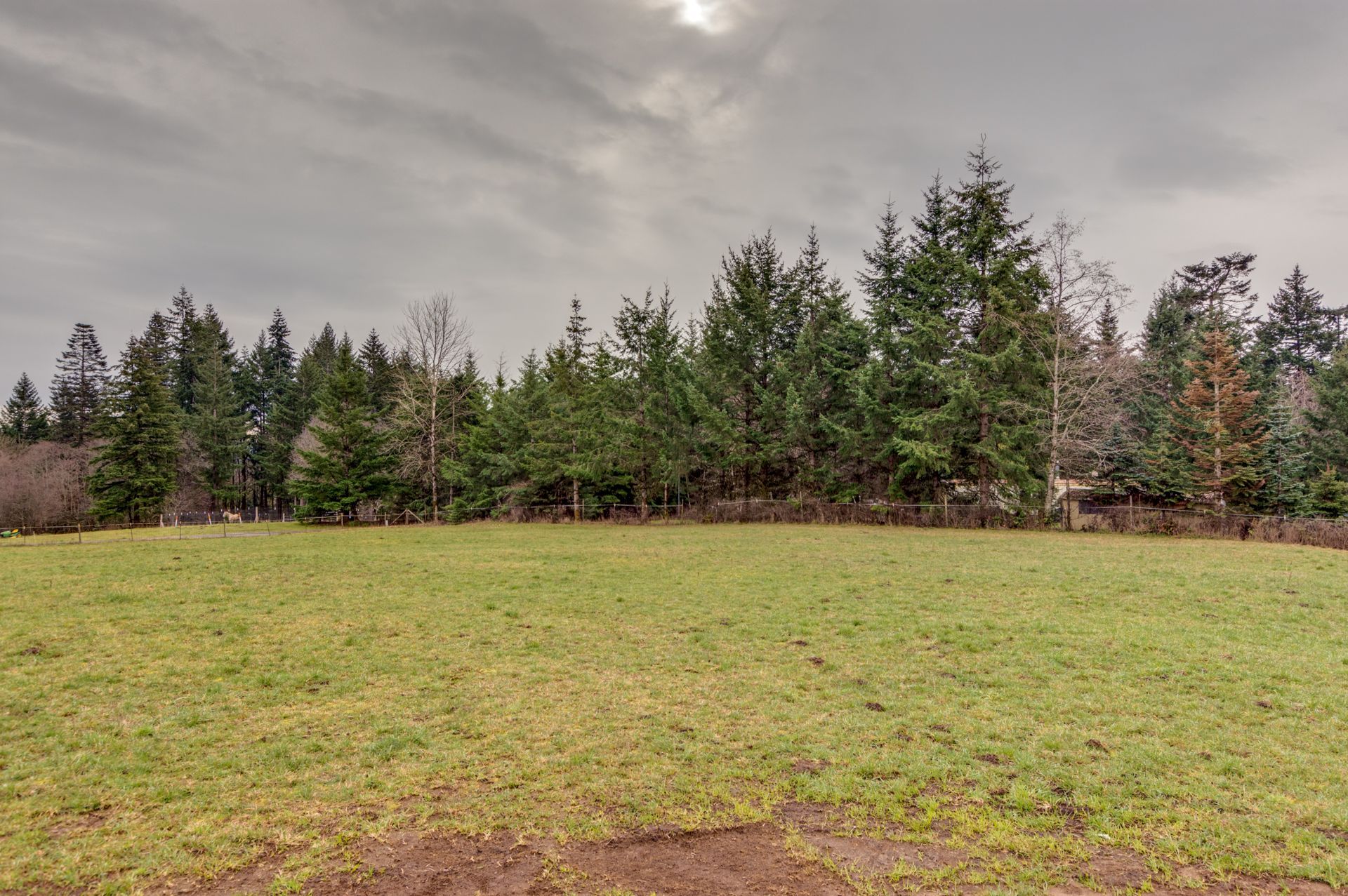 A field with trees in the background and a cloudy sky.
