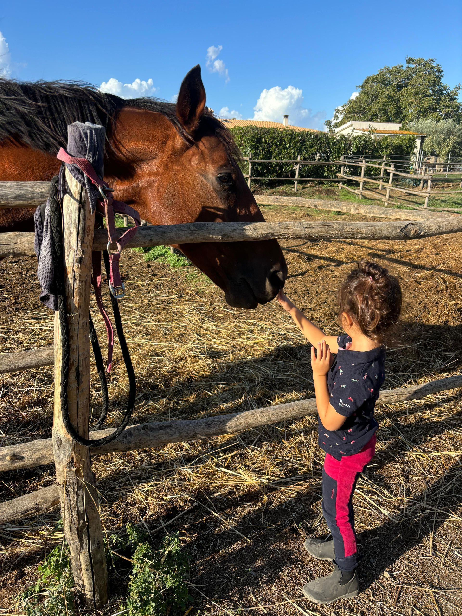 scuola pony