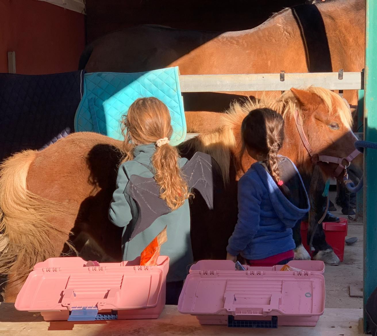 scuola pony