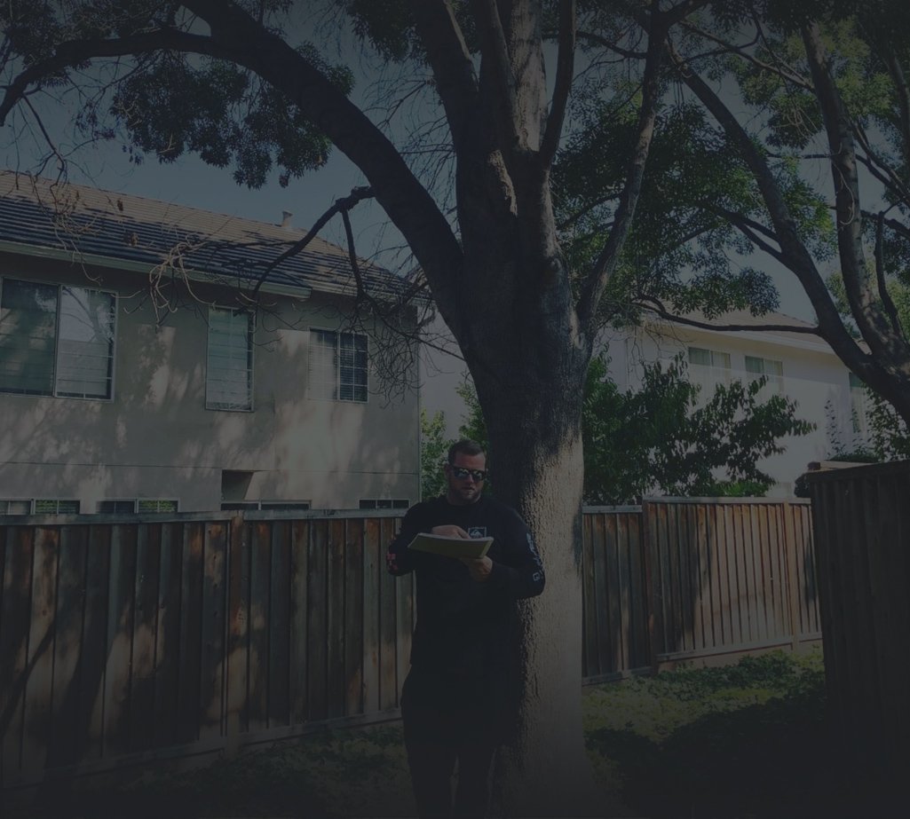Tree Service • Certified Arborist • Arbor Vision, Inc • San Ramon, CA