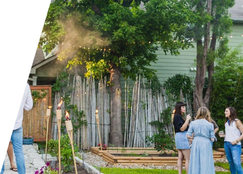 A residential garden with well-kept and risk-free trees