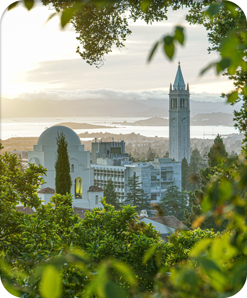 A scenic view of Berkeley surrounded by healthy trees