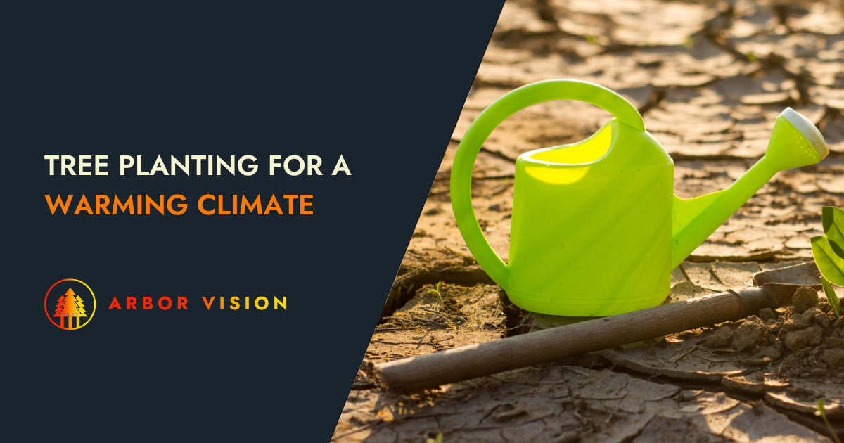A green watering can and a shovel on a dry field.
