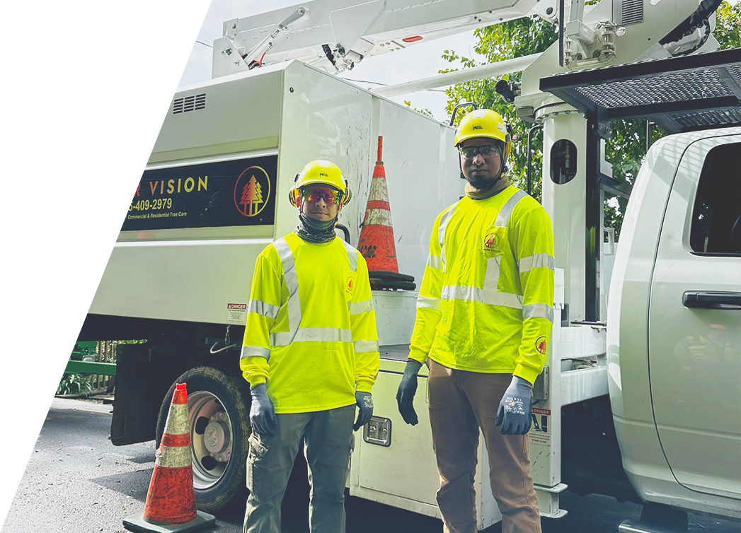 Two Arbor Vision, Inc. employees in high-visibility workwear stand proudly in front of their service truck.
