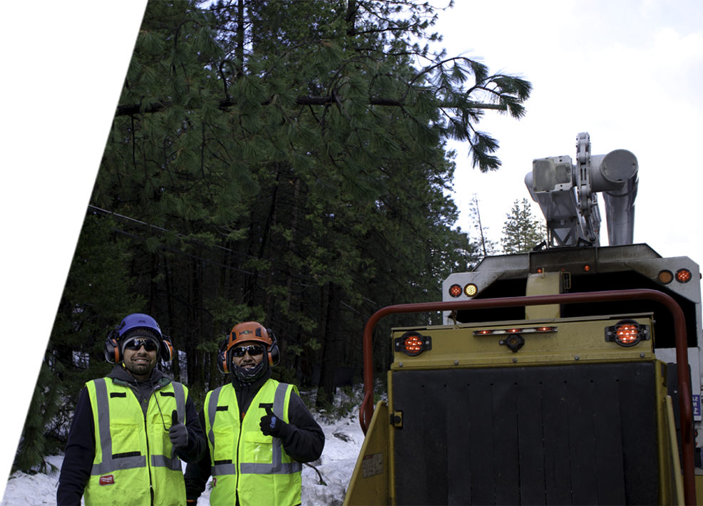 Arbor Vision team members on the roadside ready to clear overgrown branches