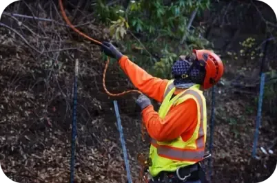 Arbor vision team member wearing safety gear while working
