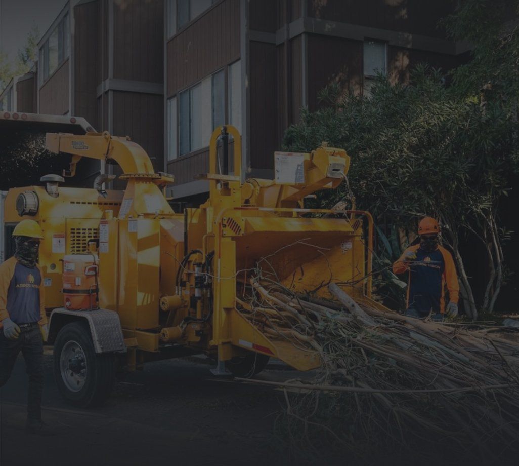 industrial equipment cleaning up cut tree branches