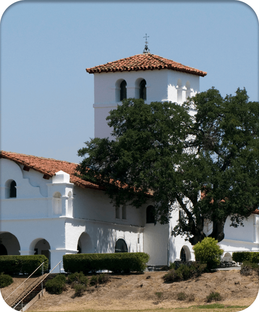 Healthy trees in a Milpitas hacienda