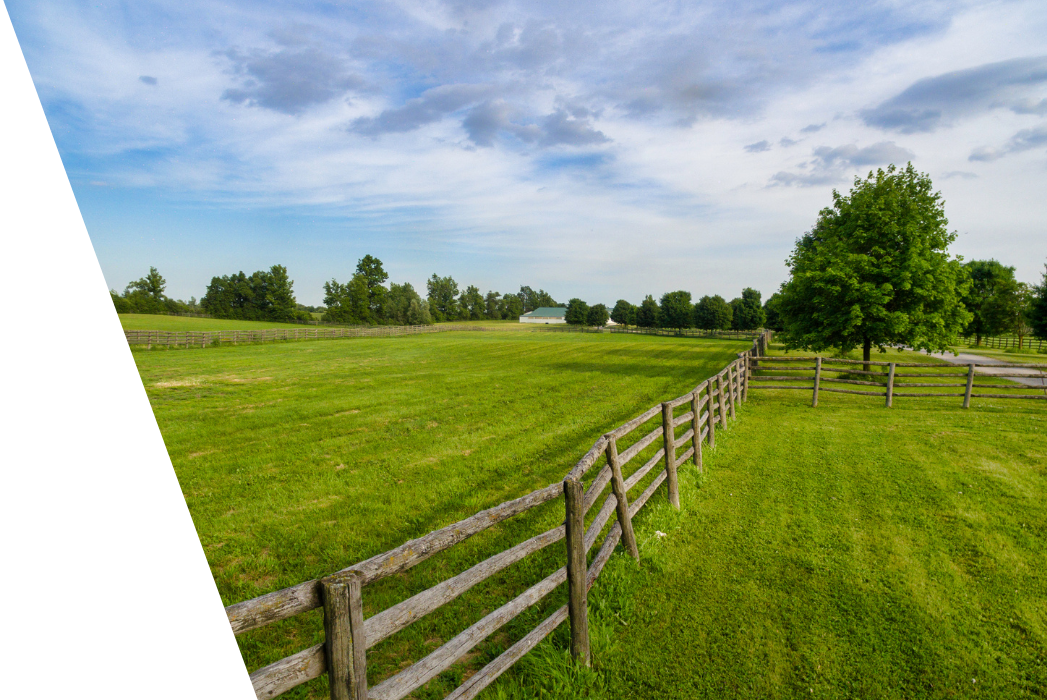 A wooden fence surrounds a lush green field.