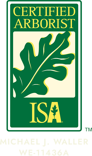 Michael J. Waller Certified Arborist Badge