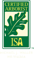Michael J. Waller Certified Arborist Badge