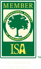 ISA Member on Staff Badge