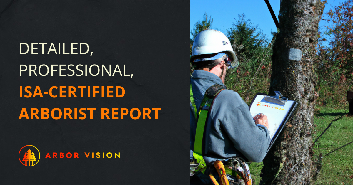 arborist writing a report while inspecting a tree