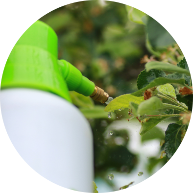 insecticide circle