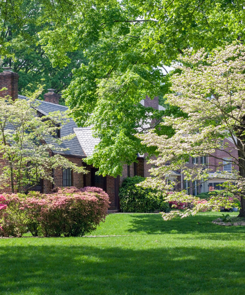 A house with a lot of trees in front of it
